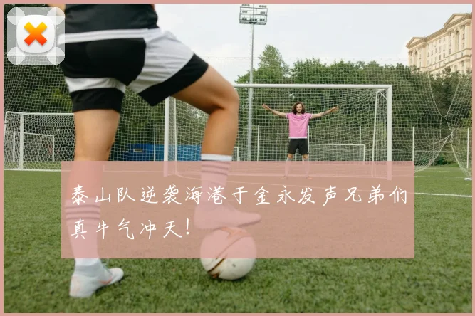 泰山队逆袭海港于金永发声兄弟们真牛气冲天！