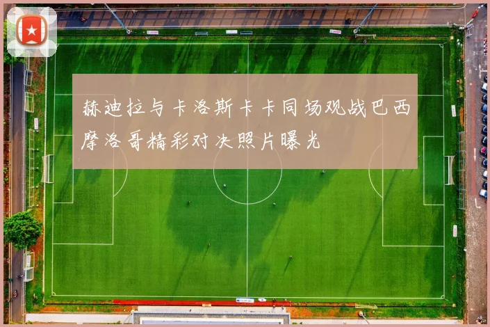 赫迪拉与卡洛斯卡卡同场观战巴西摩洛哥精彩对决照片曝光