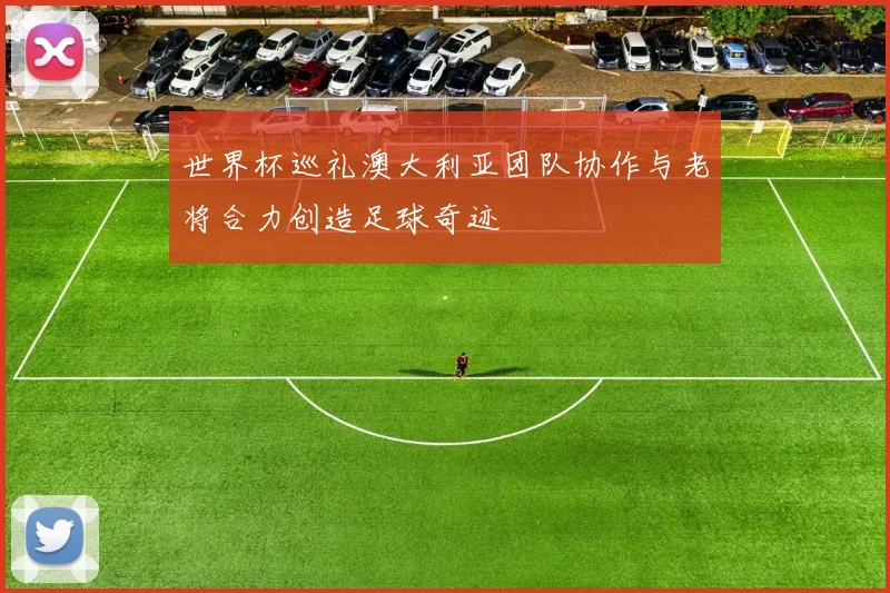 世界杯巡礼澳大利亚团队协作与老将合力创造足球奇迹